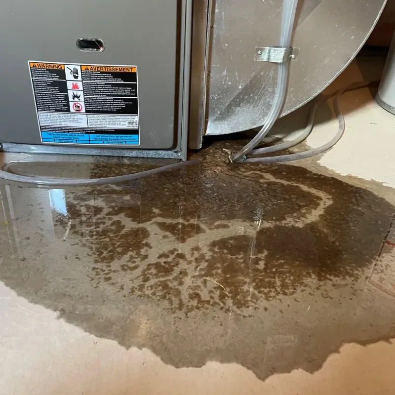 Appliance Leak Cleanup in Lubbock, TX