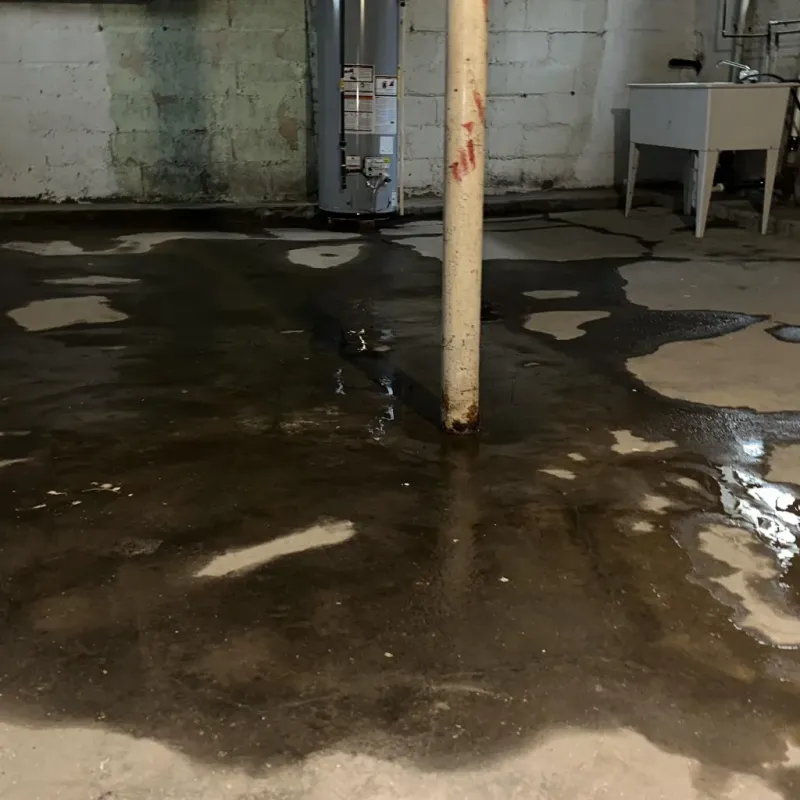 Emergency Water Extraction And Removal in Lubbock, TX